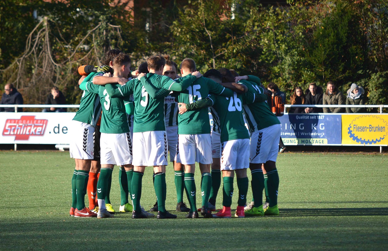 摩尔庄园：鼎航APP详情下载教程