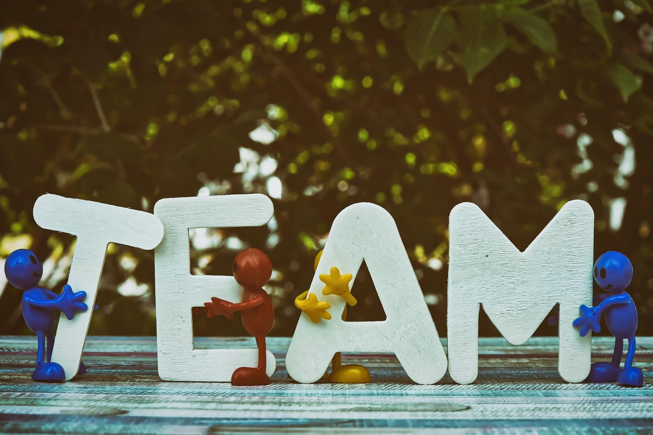 哪个电商平台是黑马代理